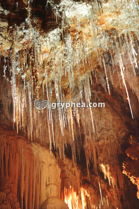 Fistuleuses - Grotte de Clamouse (Hérault) - gryphea.com